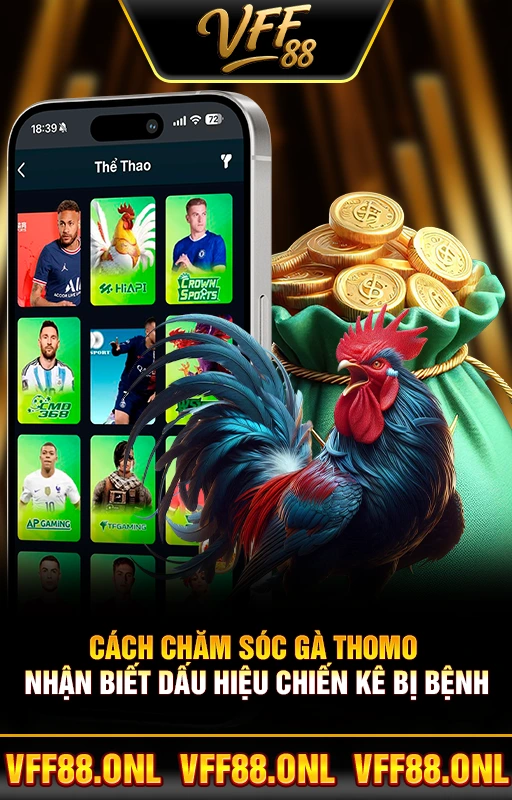 Cách Chăm Sóc Gà Thomo - Nhận Biết Dấu Hiệu Chiến Kê Bị Bệnh