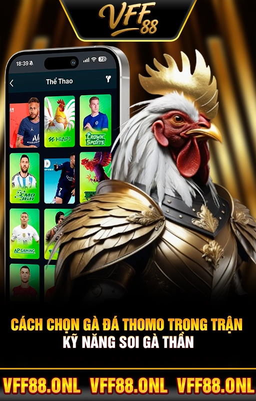 Cách Chọn Gà Đá Thomo Trong Trận - Kỹ Năng Soi Gà Thần