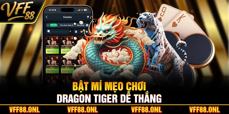 Bật mí mẹo chơi Dragon Tiger dễ thắng