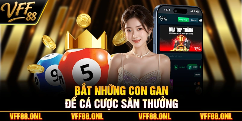 Bắt những con gan để cá cược săn thưởng