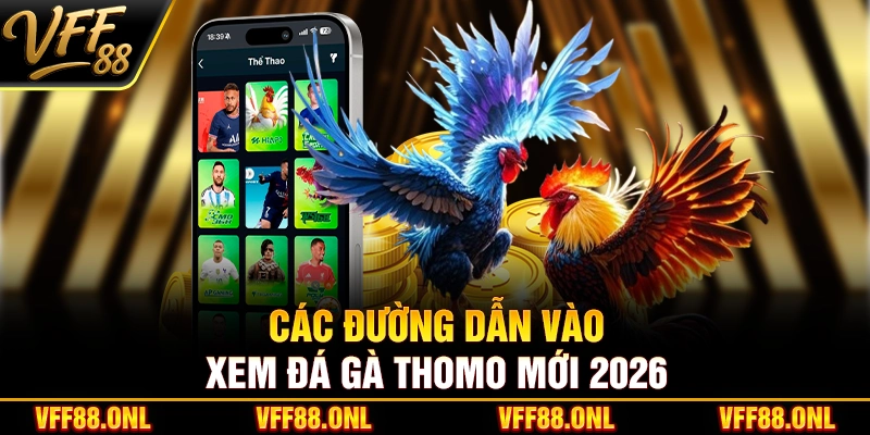 Các đường dẫn vào xem đá gà Thomo mới 2026