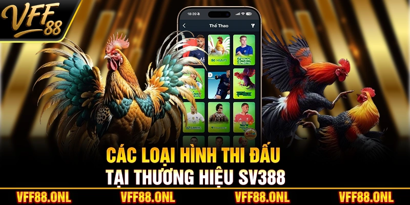 Các loại hình thi đấu tại thương hiệu SV388