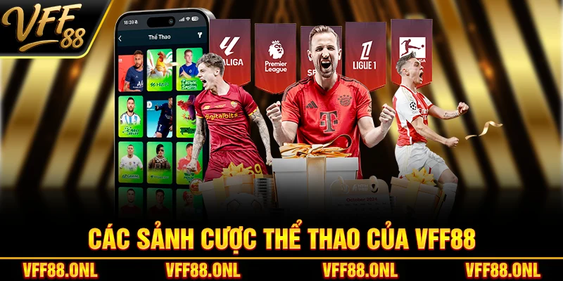Các sảnh cược thể thao của VFF88