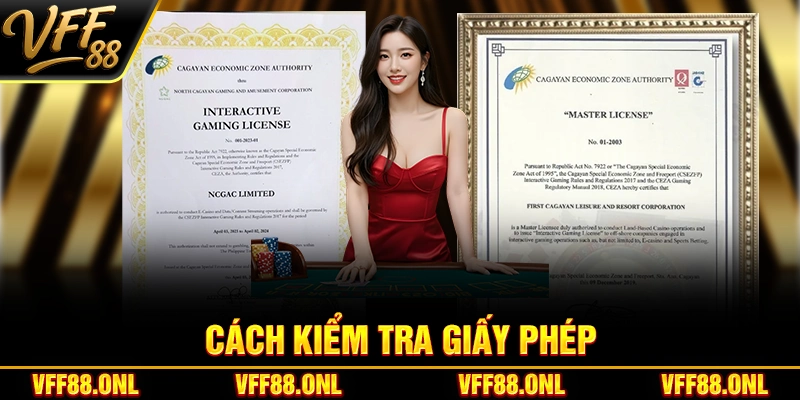 Cách kiểm tra giấy phép