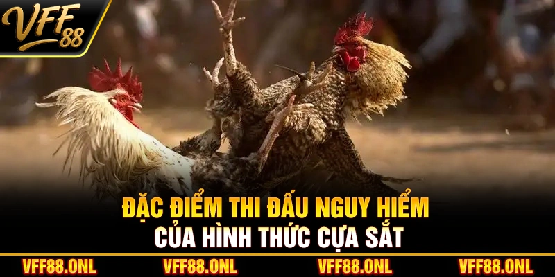 Đặc điểm thi đấu nguy hiểm của hình thức cựa sắt