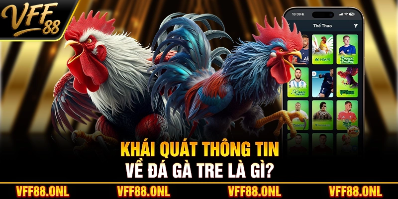 Khái quát thông tin về đá gà tre là gì?