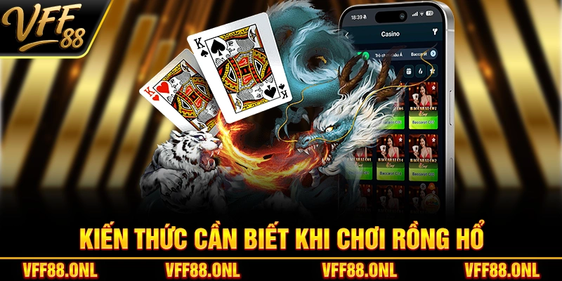 Kiến thức cần biết khi chơi Rồng Hổ
