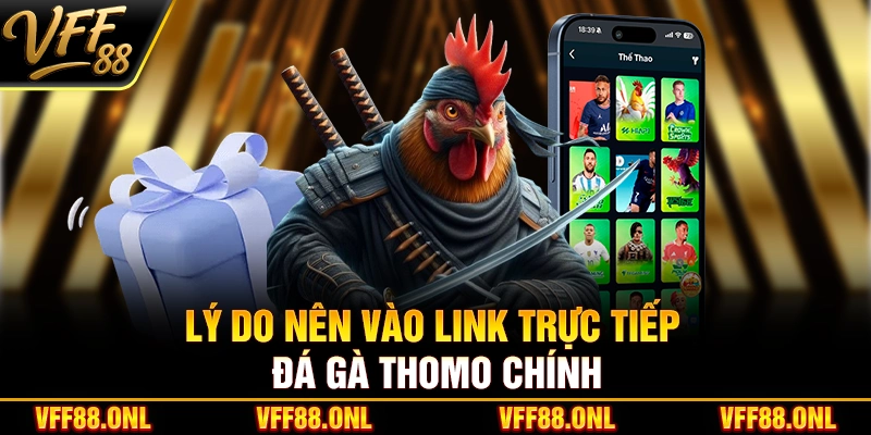 Lý do nên vào link trực tiếp đá gà Thomo chính