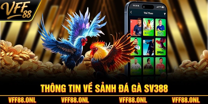 Thông tin về sảnh đá gà SV388