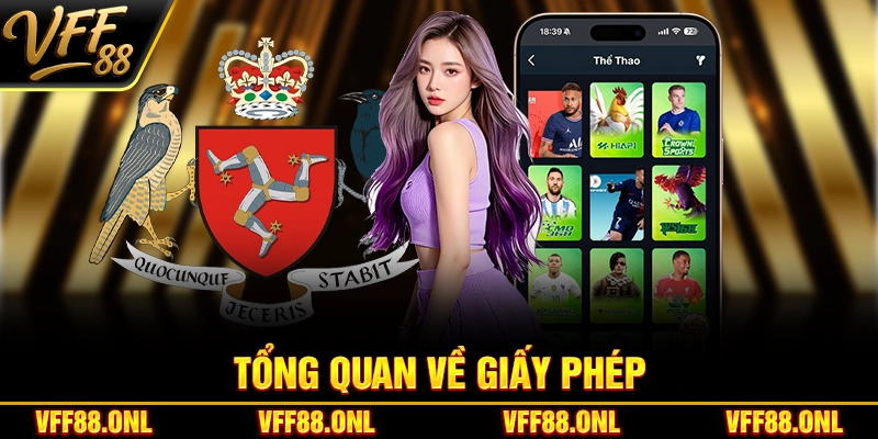 Tổng quan về giấy phép