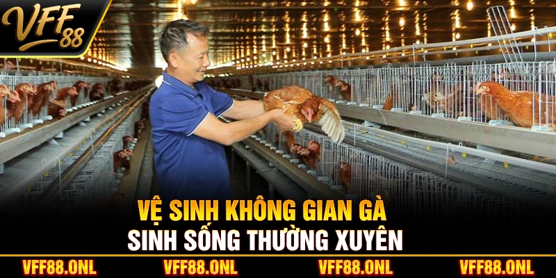 Vệ sinh không gian gà sinh sống thường xuyên